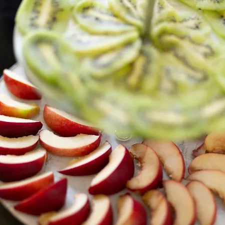 מלון Condor-new 2024-con Piscina