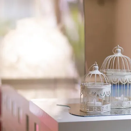 Condor-new 2024-con Piscina