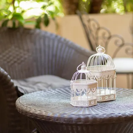 Condor-new 2024-con Piscina 酒店 里乔内