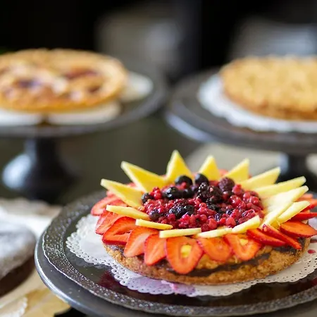 Condor-new 2024-con Piscina