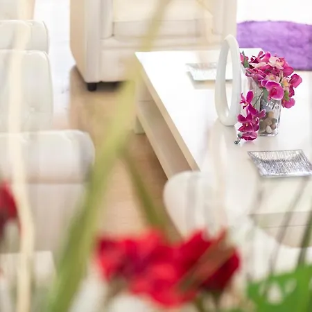 Condor-new 2024-con Piscina 2*