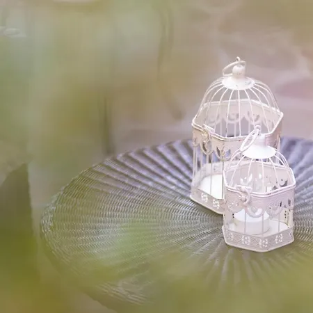 Condor-new 2024-con Piscina Hotel