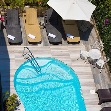 Condor-new 2024-con Piscina Hotel