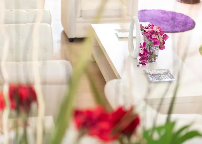 Hotel Condor-New 2024-Con Piscina 2*