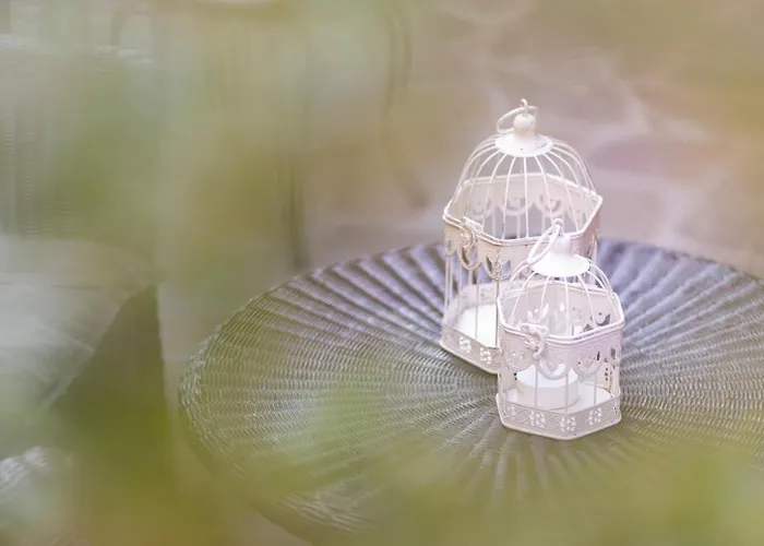 Condor-new 2024-con Piscina Отель