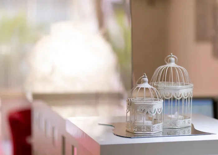 Condor-new 2024-con Piscina